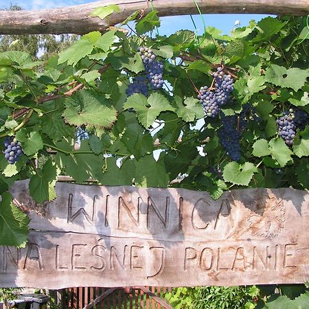 Winnica Na Lesnej Polanie Zabor Exteriör bild