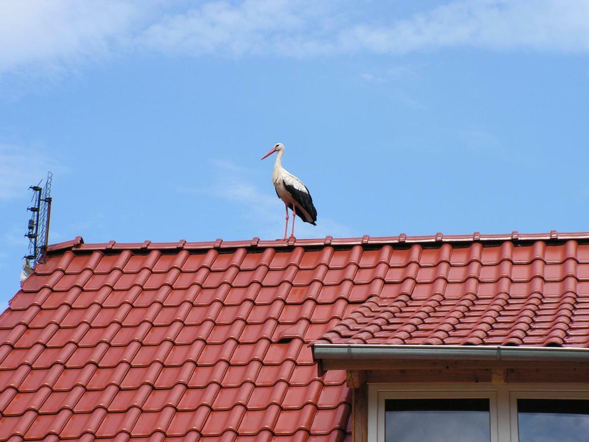 Winnica Na Lesnej Polanie Zabor Exteriör bild